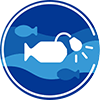 Image 153: Hello Fish